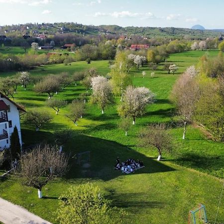 Pensiunea Din Livada Bran  Extérieur photo