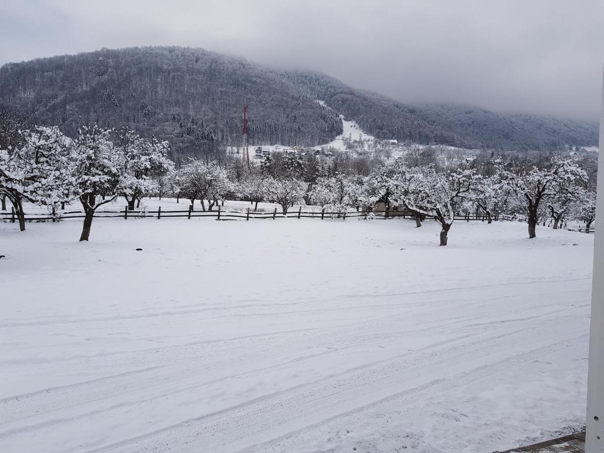 Pensiunea Din Livada Bran  Extérieur photo