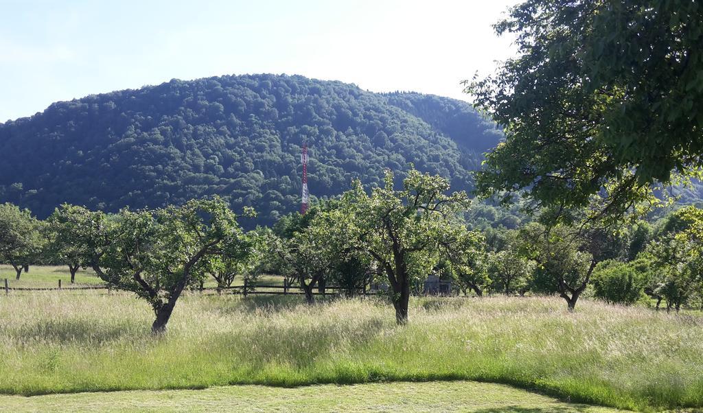 Pensiunea Din Livada Bran  Extérieur photo